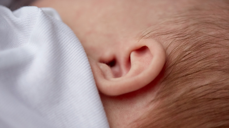 Little baby ear