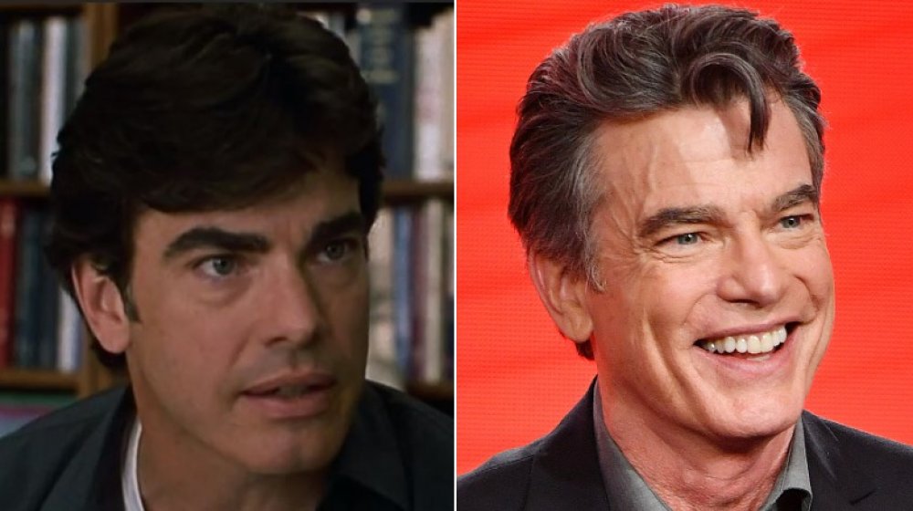 Peter Gallagher from Center Stage, then and now