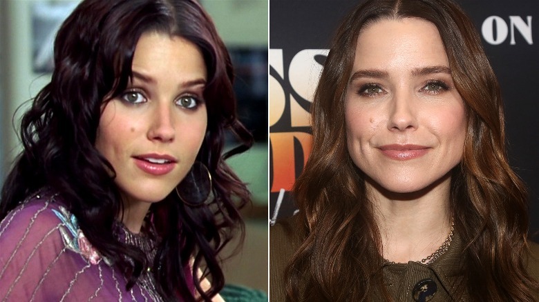 Sophia Bush then and now