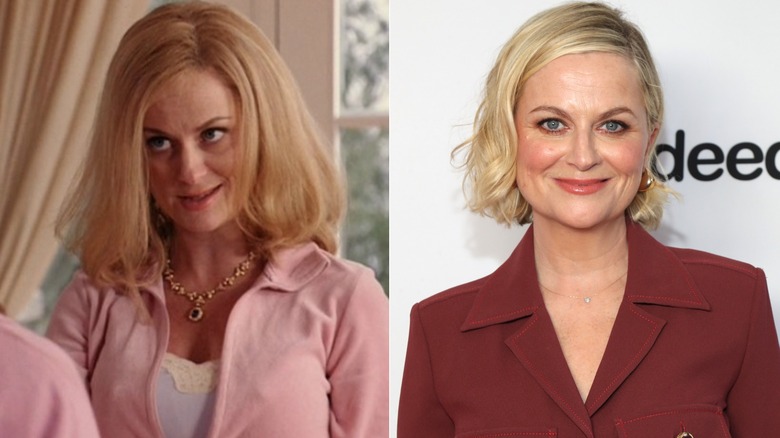 Amy Poehler acting in Mean Girls and smiling now