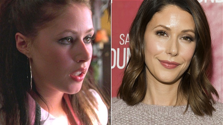 Amanda Crew then and now