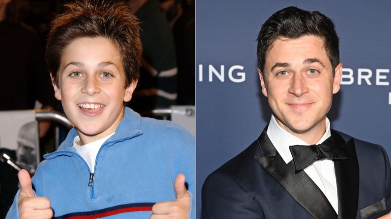 David Henrie then and now