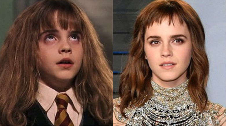 Harry Potter Hermione Granger Emma Watson