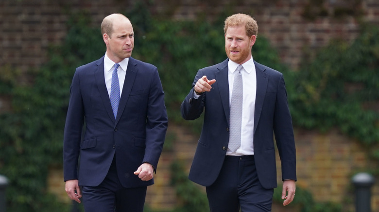 Princes William and Harry July 2021