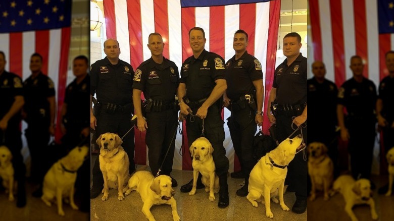 Wrangler with the Connecticut police