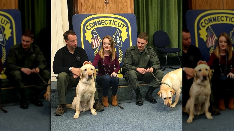 Wrangler at the Connecticut police