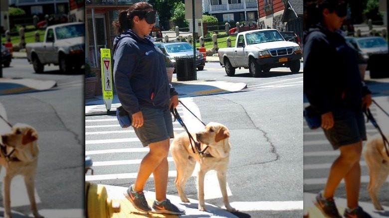 Wrangler as a seeing eye dog