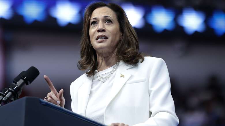 Kamala Harris speaks at a campaign rally in Savannah, Georgia, in August 2024