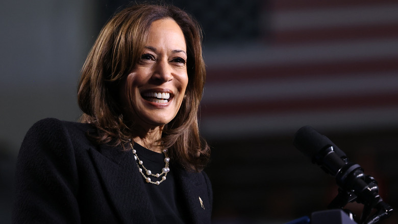 Kamala Harris speaks at a campaign rally in Pennsylvania in November 2024