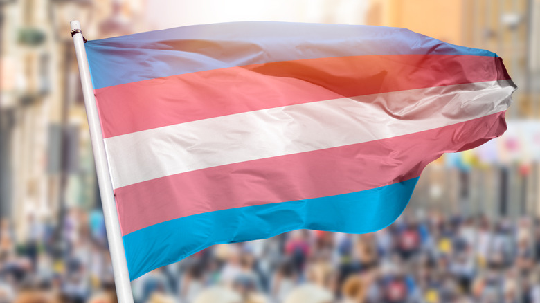 transgender flag waving over a crowded street