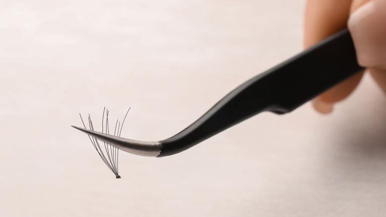 Individual lashes held with tweezers