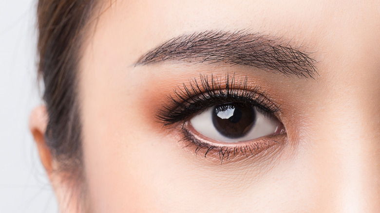 closeup of brown eye with long eyelashes