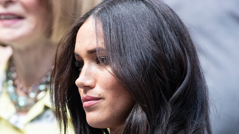 Meghan Markle hair down