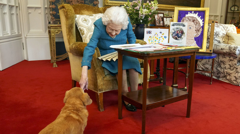 Queen Elizabeth petting dorgi February 2022