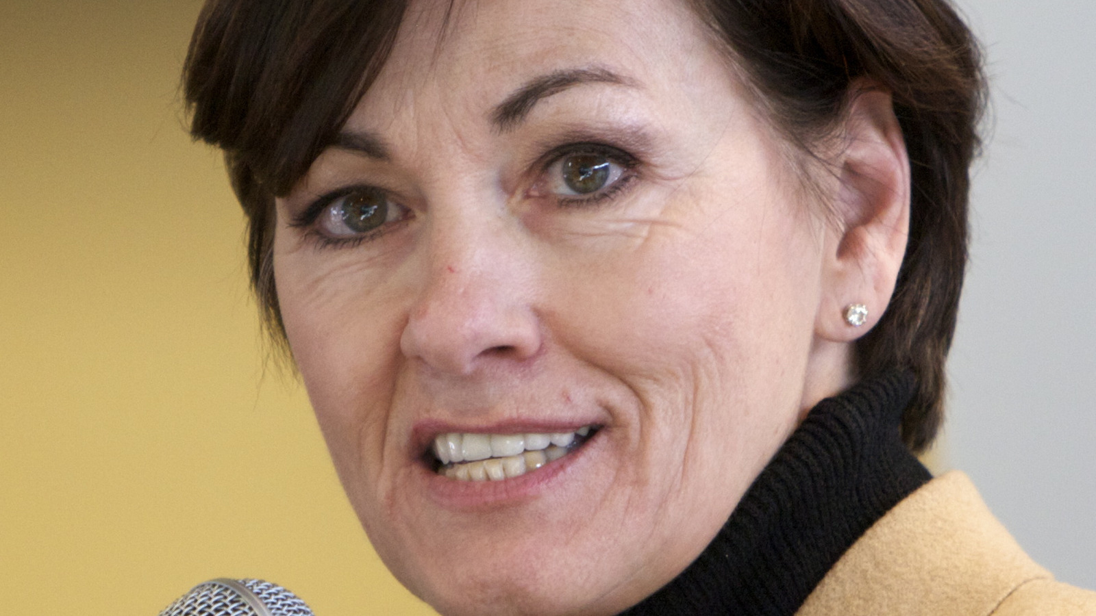 What We Know About Iowa Governor Kim Reynolds