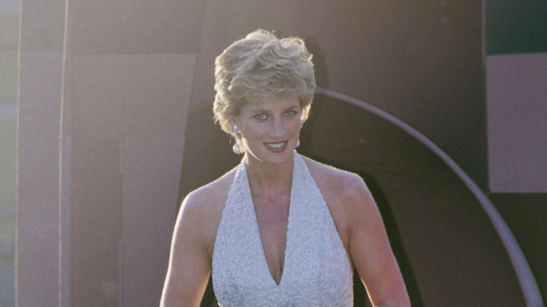 Diana in 1995 