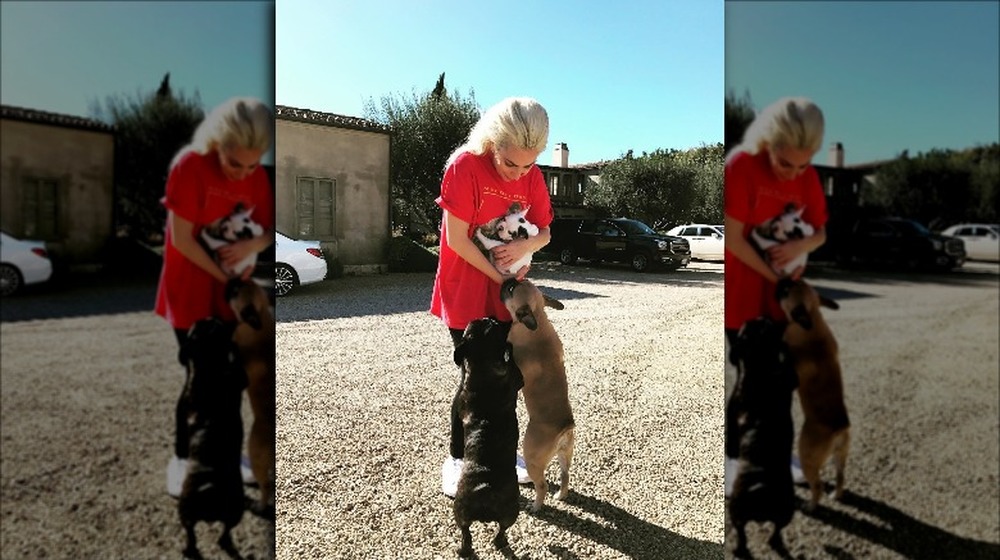 Lady Gaga with her dogs