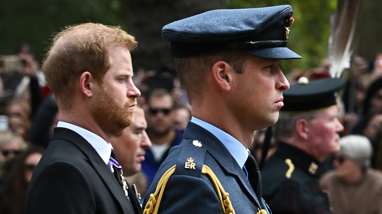 Prince Harry and Prince Charles side profile