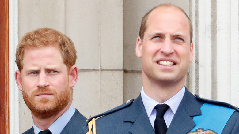 Prince Harry and Prince William posing 