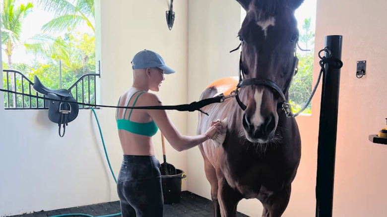 Isabella Strahan grooming her horse