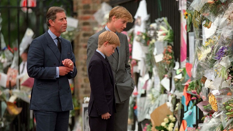 Prince William at Diana's memorial 