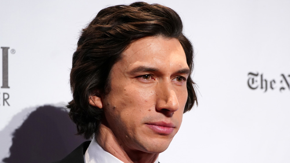 Adam Driver poses at an event