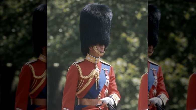 Prince Charles in military dress