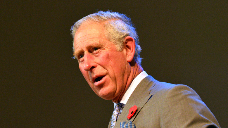 Prince Charles wearing a poppy pin