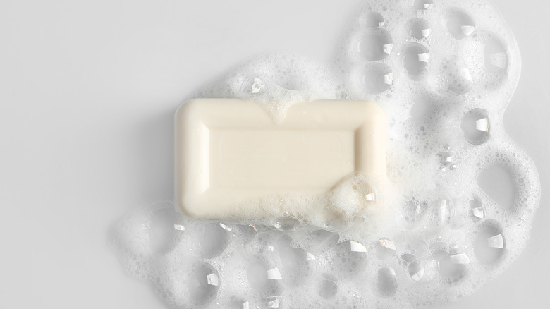 a bar of soap and lather on plain surface