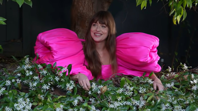 Dakota Johnson outdoors in pink