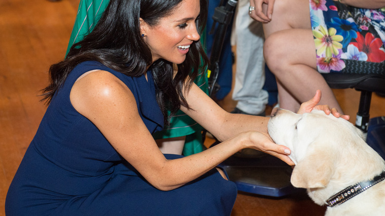 Meghan Markle petting a dog