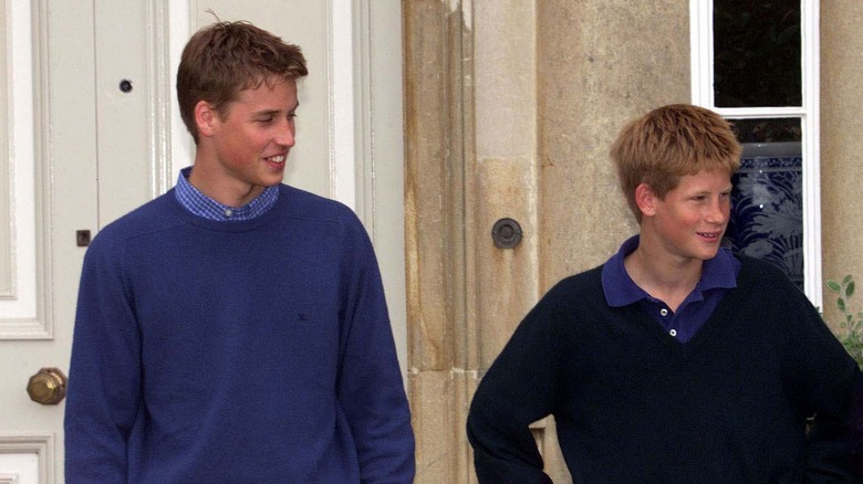 Young Prince William, Prince Harry