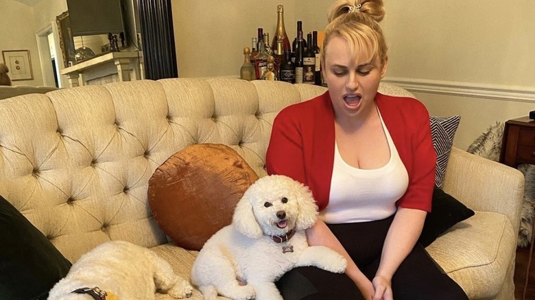 Rebel Wilson sitting near dog