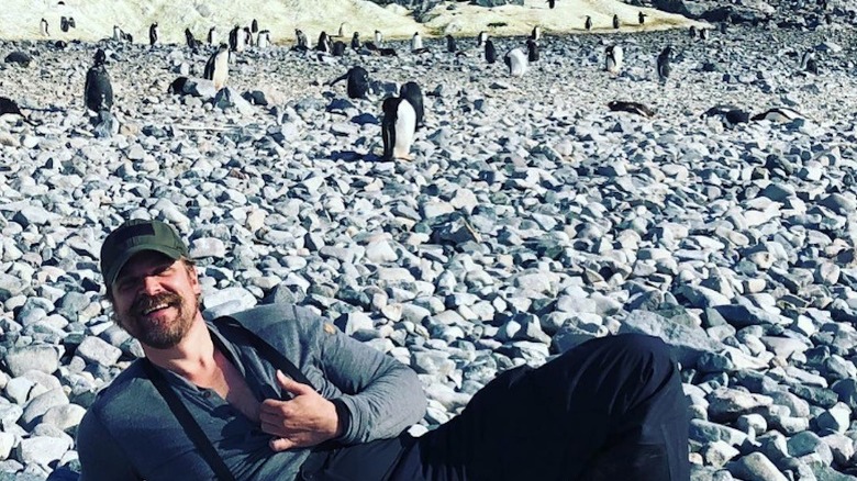 David Harbour in Antarctica