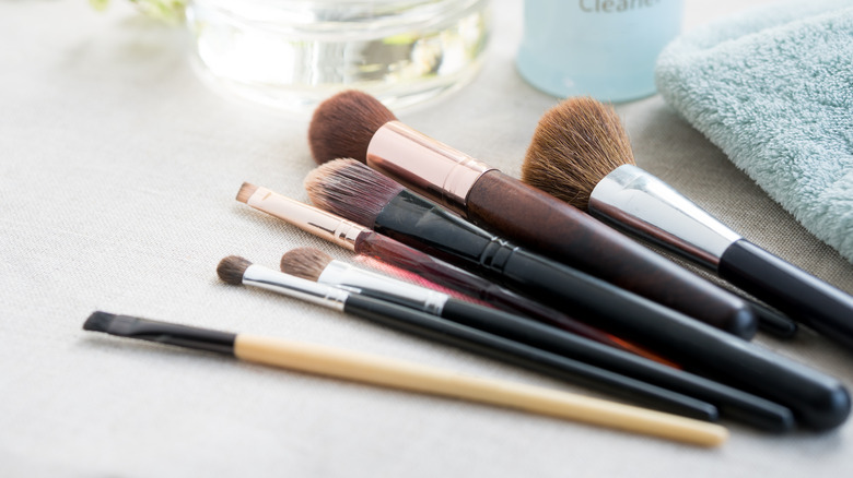 Set of makeup brushes