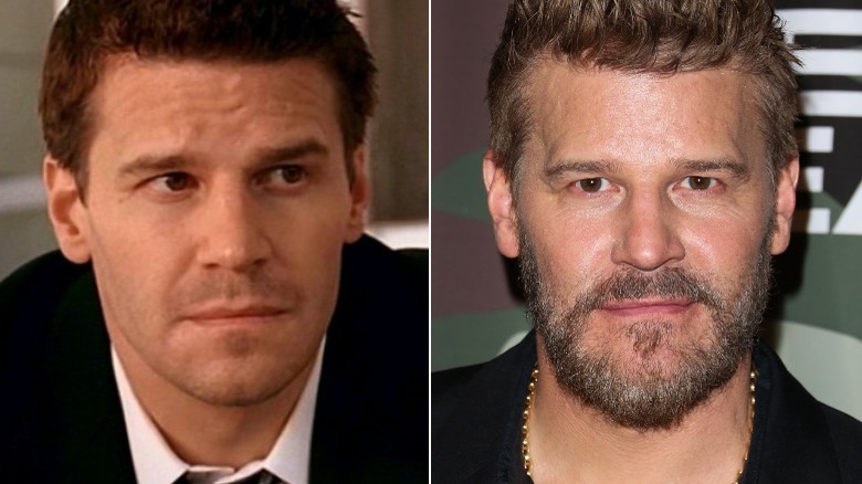 Actor David Boreanaz