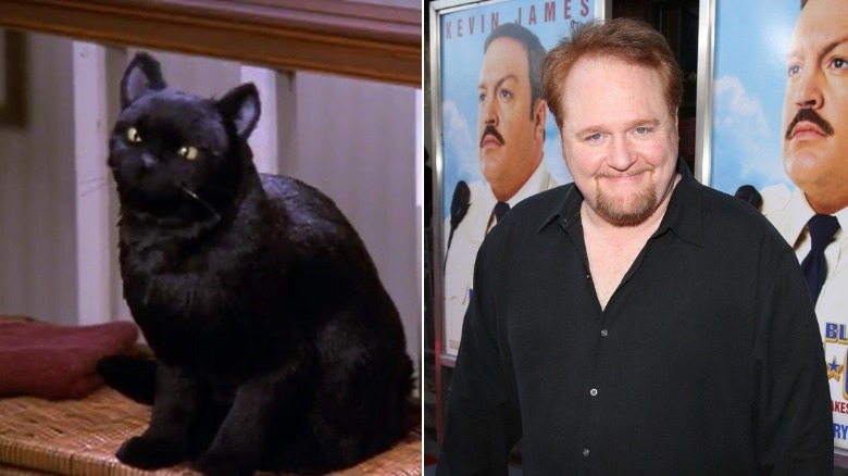 Nick Bakay as Salem in Sabrina, now