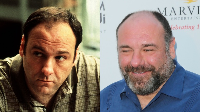 James Gandolfini acting on The Sopranos and in smiling 2014