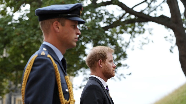 Prince Harry and Prince William