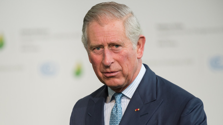 Prince Charles posing 