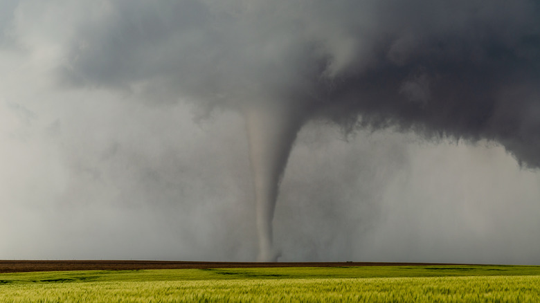 Tornado in an open field