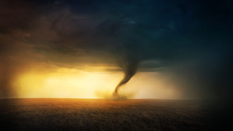 Tornado in a field