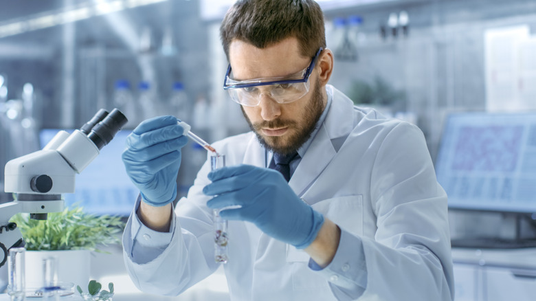 a scientist examines plants and plant compounds