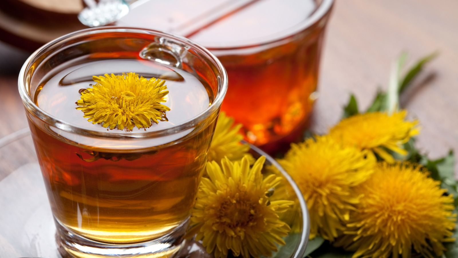 When You Drink Dandelion Tea Every Day This Is What Happens To Your Body 