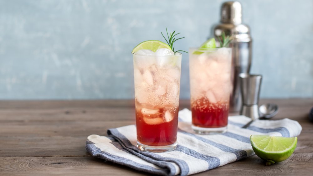 sloe gin fizz drinks