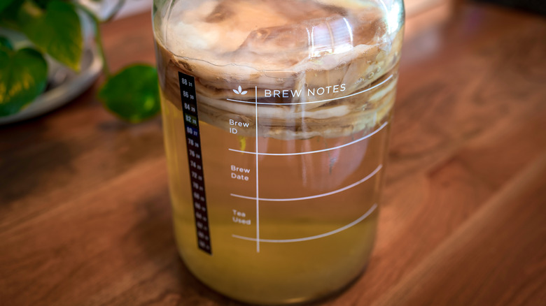 Pouring a glass of kombucha tea 