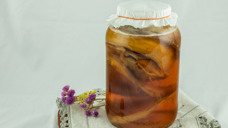 Kombucha tea in a jar