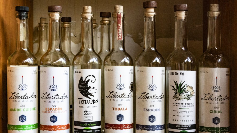 bottles of mezcal
