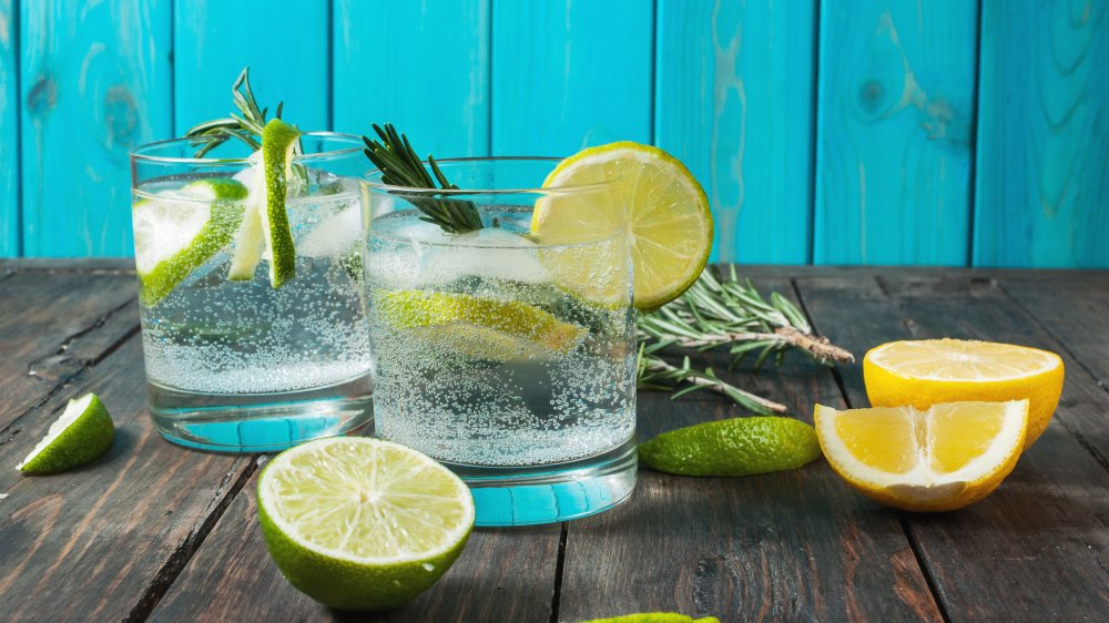 When You Drink Tonic Water Every Day This Is What Happens To Your Body