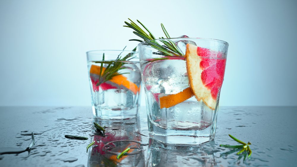 Two vodka cocktails with fruit and herbs